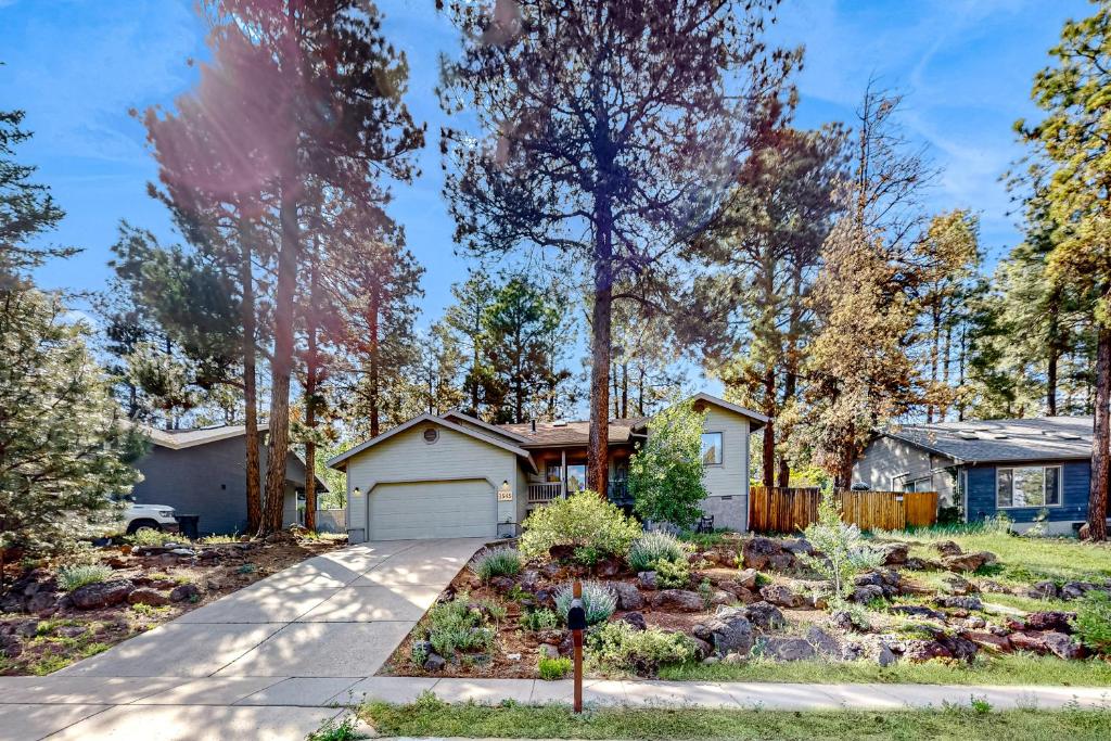 Pine Forest Hideaway